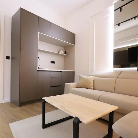 Din Luxury 아파트 *